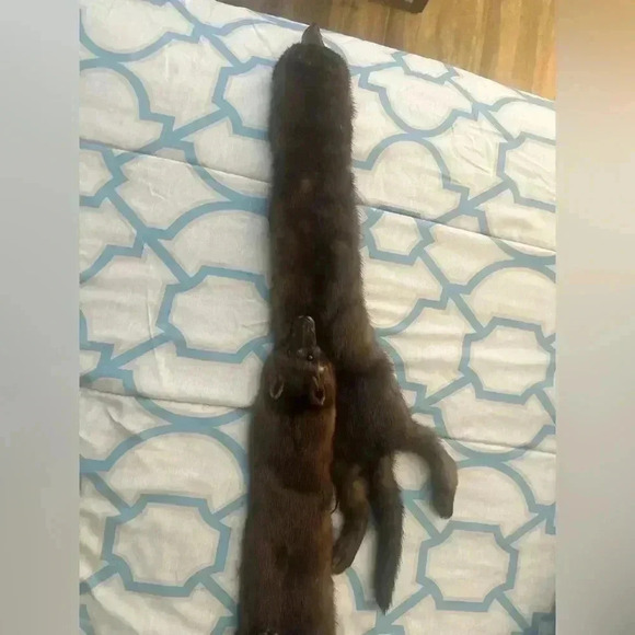 VINTAGE JOSEPH HORNE ACTUAL BODY 3 MINK STOLE - Picture 4 of 9